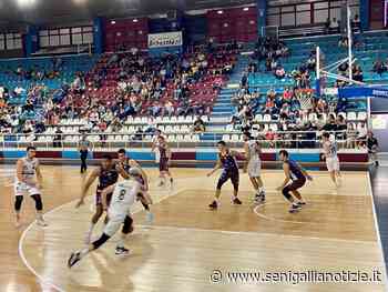Pallacanestro Senigallia, non c'è storia a Rieti - Senigallia Notizie