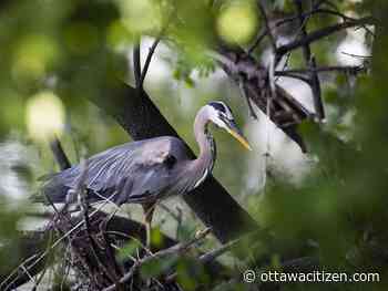 Today's letters: Great photos; Queen Elizabeth; and the handgun 'freeze'