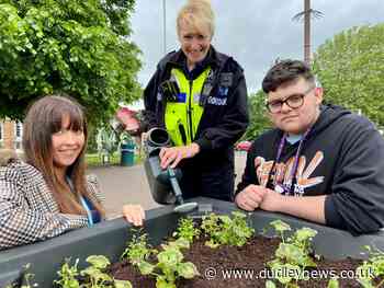 Brierley Hill set to bloom again thanks to volunteers and donations - Dudley News
