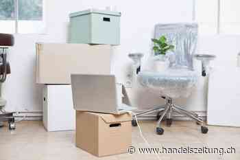 Nachhaltige Startups