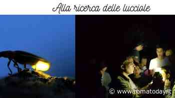 Lucciole e storia della Caffarella, passeggiata guidata