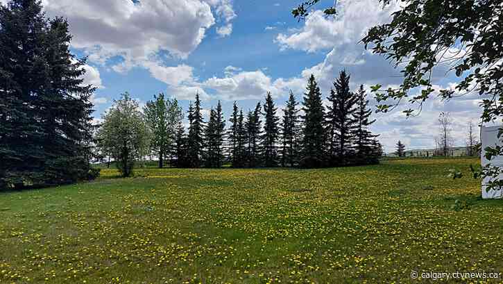 June showers could start Sunday in Calgary