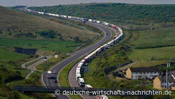 Lieferketten-Probleme: Software-Unternehmen wittern das große Geschäft