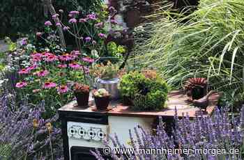 Hobbygärtner öffnen ihr grünes Paradies - Lampertheim - Nachrichten und Informationen - Mannheimer Morgen
