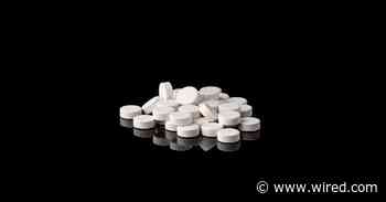 Everything You Should Know About Plan B