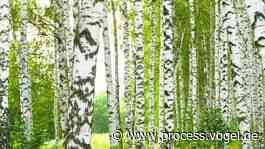 Energieeffizienz Beratung von CP Pump Systems: Pumpensysteme sind der Schlüssel zur Einsparung von Energie und Kosten - Process