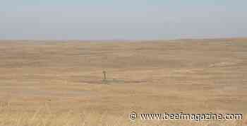 Tools for adjusting stocking rates during drought