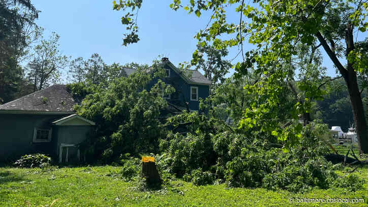 Crews Cleaning Up After Storm Topples Trees In Crownsville