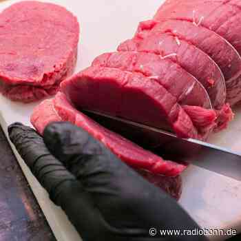 Fleisch mit der Faser oder gegen sie schneiden? - radiobonn.de