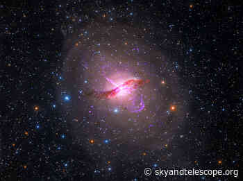 The Life and Times of Immortal Stars