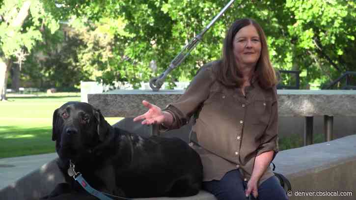 2 Dogs Among The Actors Taking The Stage At The Colorado Shakespeare Festival This Summer