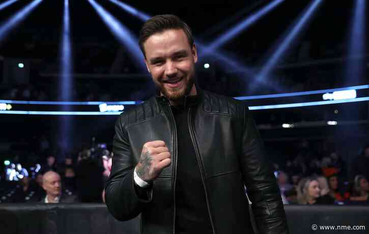 Liam Payne tells Logan Paul One Direction member “threw me up a wall”