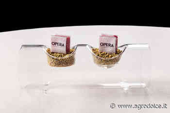 Etica e territorio, la filosofia di Opera Torino - Agrodolce