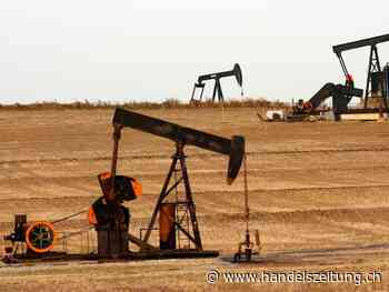 Ölallianz Opec+ will Produktionserhöhung beschleunigen