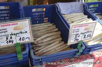 Schleppendes Spargelgeschäft - Lampertheim - Nachrichten und Informationen - Mannheimer Morgen