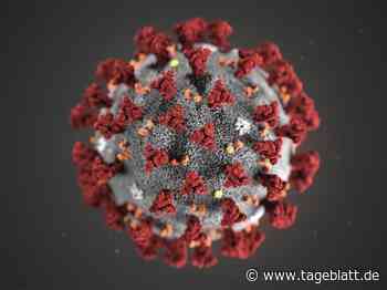 Inzidenzwert im Landkreis Stade leicht gestiegen - Landkreis Stade - tageblatt.de