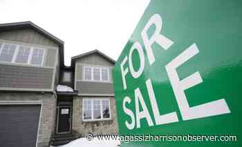 Chilliwack real estate prices projected to rise even as market slows – Agassiz Harrison Observer - Agassiz Harrison Observer