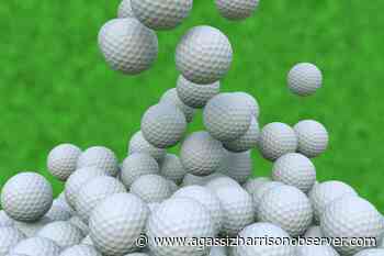 Chilliwack Golf Club hosting UFV Cascades golf tournament – Agassiz Harrison Observer - Agassiz Harrison Observer