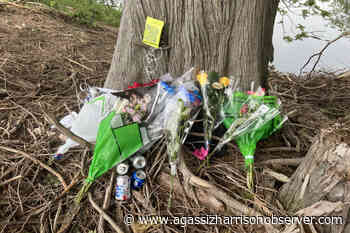 Chilliwack Secondary School offering support to students after tragic death of 17-year-old – Agassiz Harrison Observer - Agassiz Harrison Observer