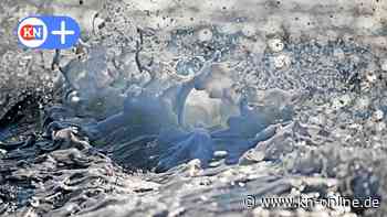 Freya-Frahm-Haus Laboe: Neue Ausstellung zeigt Fotografie und Malerei