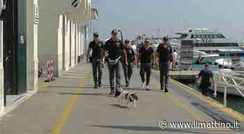 Capri, rubato zainetto con 3.400 euro ai tavoli del bar di Marina Grande: fermati i cinque ladri - ilmattino.it