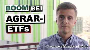 Bis zu 50 Prozent Wachstum: Exportstopps in Asien: Was tun gegen die Preisexplosion bei Weizen & Co.?