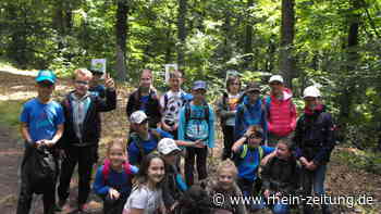 Wald-Jugendspiele nach Corona-Pause: Koblenzer Kinder lernen spielerisch im Wald - Rhein-Zeitung