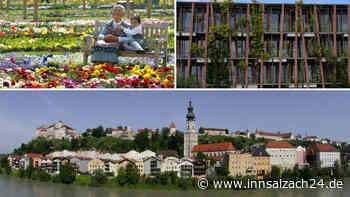 Burghausen soll noch grüner werden - doch wieviel darf das kosten?