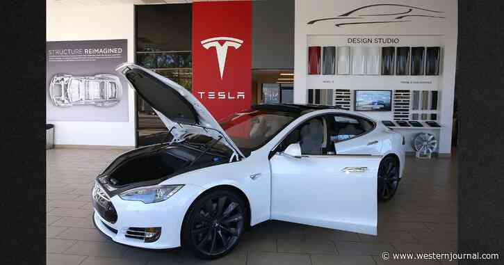 Tesla Owner Exposes Dark Secret About Electric Cars