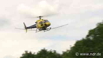 Ludwigslust-Parchim geht gegen den Eichenprozessionsspinner vor - NDR.de