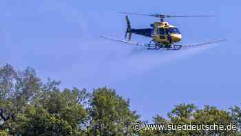 Tiere - Parchim - Mit dem Hubschrauber gegen den Eichenprozessionsspinner - Wissen - SZ.de - Süddeutsche Zeitung - SZ.de
