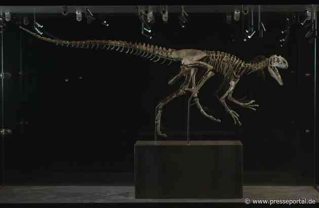 Sommersensation in Denkendorf: Allosaurier “Little Al” ist da!