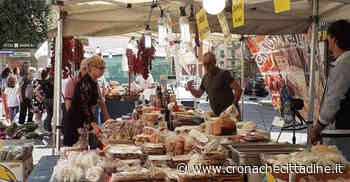 Colleferro. Dal peperone dolce al “Carolina Reaper”. Un weekend dedicato alla Festa del Peperoncino - Cronache Cittadine