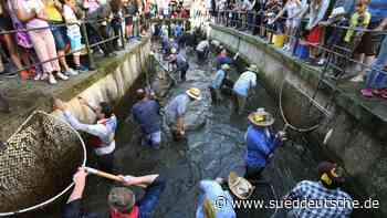 Memmingen: Frauen dürfen Bach ausfischen - aber niemand will - Süddeutsche Zeitung - SZ.de