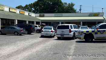 5 children found unresponsibile in vehicle in stable condition at hospital, police say - Live 5 News WCSC