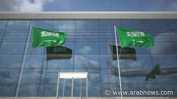 Saudi aviation sector needs foreign investments to hit 330m passenger target, official says - Arab News