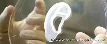 Un chirurgien a greffé un implant d'oreille imprimé à partir de cellules humaines