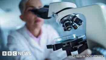 Universities warn of EU-UK research scheme 'close to precipice'