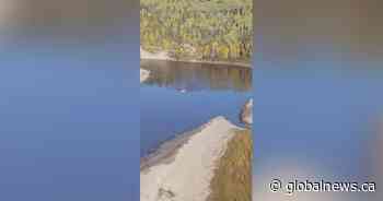 Alberta man fined $9K, loses hunting, guiding privileges in B.C.