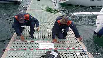 Formia / Pontile da diporto sequestrato, opere sprovviste di titoli autorizzativi e concessori | temporeale quotidiano - Temporeale Quotidiano
