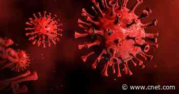 Monkeypox Outbreak: What You Need to Know About the Disease     - CNET