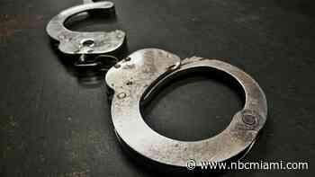 Davie Carjacking Suspect Has History of Violent Behavior: Police