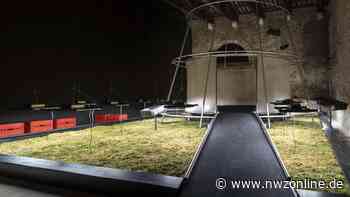 Biennale 2022 in Venedig: Torfmoose aus Rastede als Moor-Installation im Chilenischen Pavillon - Nordwest-Zeitung