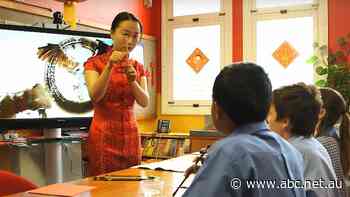 NT school quietly terminates Chinese-funded Confucius Institute program, but six assistant teachers remain