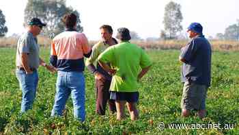 Amid soaring energy costs, businesses fear for their future if something doesn't change