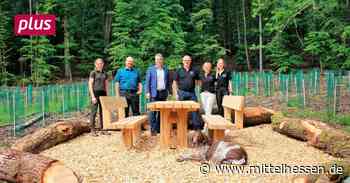 Holm Pfeiffer bekommt zum 60. Geburtstag einen Wald - Mittelhessen