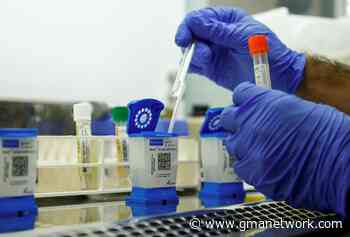 Impact of coronavirus variants is location-dependent — study - GMA News Online