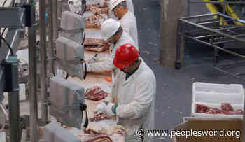 OSHA gives giant coronavirus-spreading meatpacker, JBS, slap on the wrist - People's World