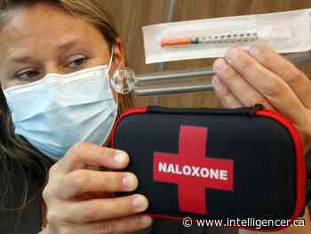 Opioid-related harm increases during pandemic; health unit responding - Belleville Intelligencer