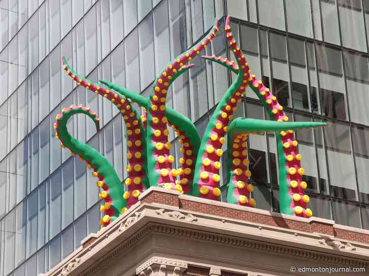 Three to See: Downtown Spark, Mile Zero's SHED and Cat Fest lives on online